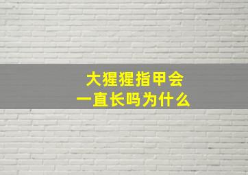 大猩猩指甲会一直长吗为什么