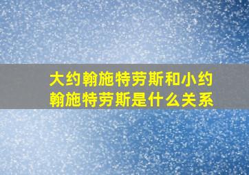 大约翰施特劳斯和小约翰施特劳斯是什么关系