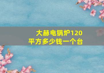 大赫电锅炉120平方多少钱一个台