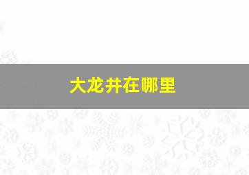 大龙井在哪里