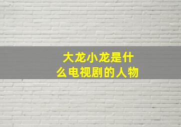 大龙小龙是什么电视剧的人物