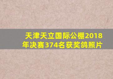 天津天立国际公棚2018年决赛374名获奖鸽照片