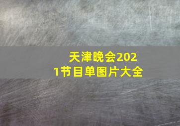 天津晚会2021节目单图片大全