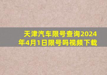 天津汽车限号查询2024年4月1日限号吗视频下载