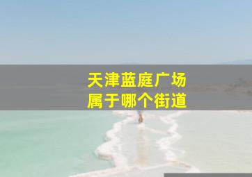 天津蓝庭广场属于哪个街道