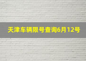 天津车辆限号查询6月12号