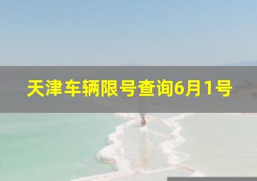 天津车辆限号查询6月1号