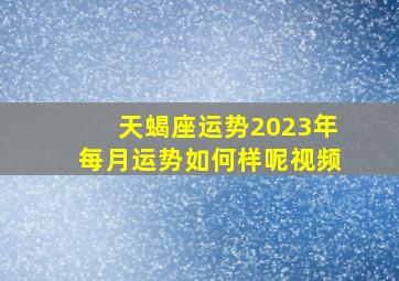 天蝎座运势2023年每月运势如何样呢视频