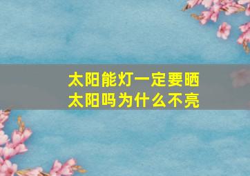 太阳能灯一定要晒太阳吗为什么不亮