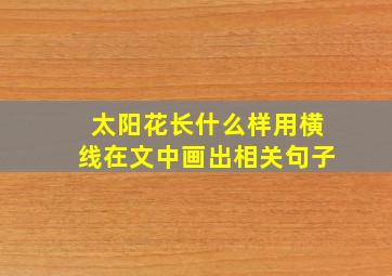 太阳花长什么样用横线在文中画出相关句子