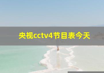 央视cctv4节目表今天