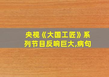 央视《大国工匠》系列节目反响巨大,病句