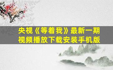 央视《等着我》最新一期视频播放下载安装手机版