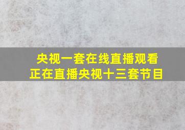 央视一套在线直播观看正在直播央视十三套节目