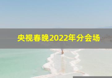 央视春晚2022年分会场