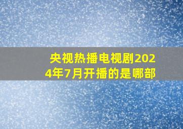 央视热播电视剧2024年7月开播的是哪部