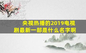 央视热播的2019电视剧最新一部是什么名字啊