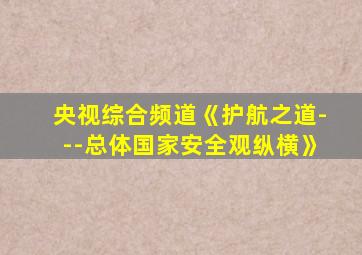 央视综合频道《护航之道---总体国家安全观纵横》