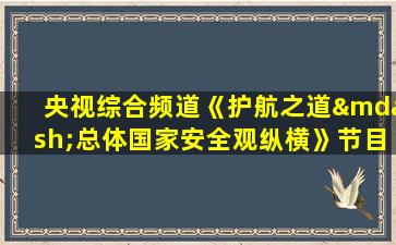 央视综合频道《护航之道—总体国家安全观纵横》节目