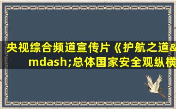 央视综合频道宣传片《护航之道—总体国家安全观纵横》