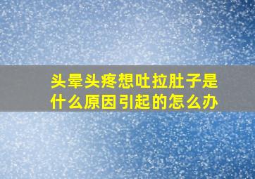 头晕头疼想吐拉肚子是什么原因引起的怎么办