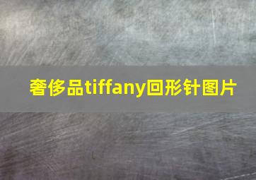 奢侈品tiffany回形针图片