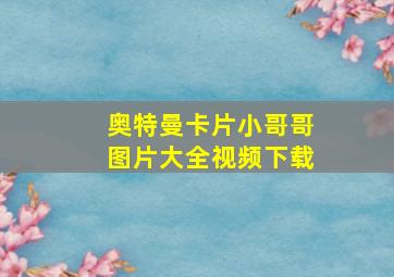 奥特曼卡片小哥哥图片大全视频下载