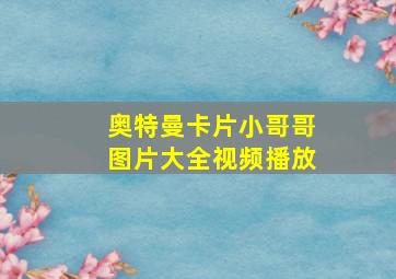 奥特曼卡片小哥哥图片大全视频播放