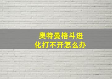 奥特曼格斗进化打不开怎么办