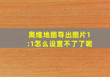 奥维地图导出图片1:1怎么设置不了了呢