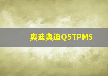 奥迪奥迪Q5TPMS