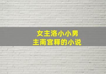 女主洛小小男主南宫释的小说