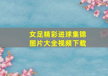 女足精彩进球集锦图片大全视频下载