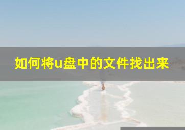 如何将u盘中的文件找出来