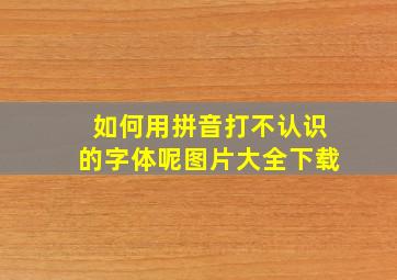 如何用拼音打不认识的字体呢图片大全下载