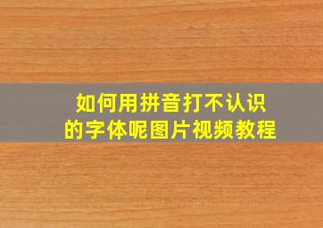 如何用拼音打不认识的字体呢图片视频教程