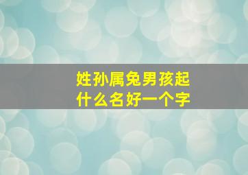 姓孙属兔男孩起什么名好一个字