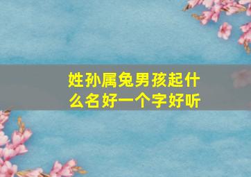 姓孙属兔男孩起什么名好一个字好听