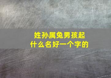 姓孙属兔男孩起什么名好一个字的