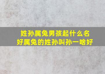 姓孙属兔男孩起什么名好属兔的姓孙叫孙一啥好