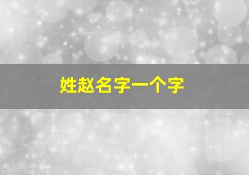 姓赵名字一个字