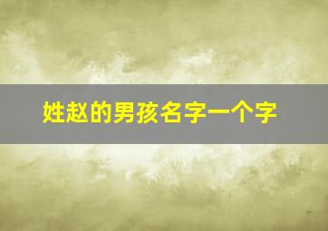 姓赵的男孩名字一个字