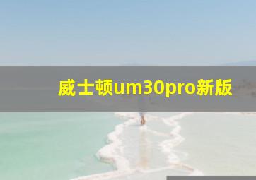 威士顿um30pro新版