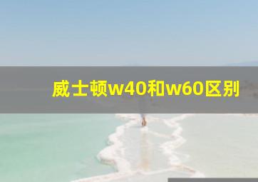 威士顿w40和w60区别