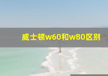 威士顿w60和w80区别