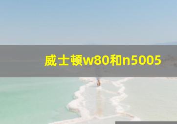 威士顿w80和n5005