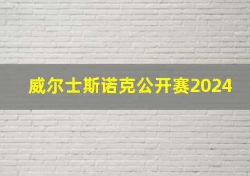 威尔士斯诺克公开赛2024