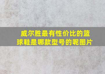 威尔胜最有性价比的篮球鞋是哪款型号的呢图片