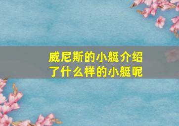 威尼斯的小艇介绍了什么样的小艇呢