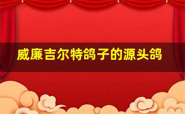 威廉吉尔特鸽子的源头鸽